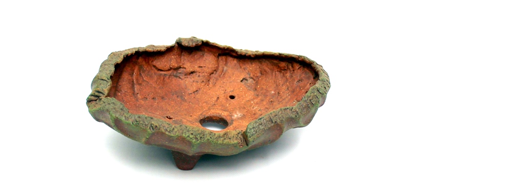 kusamono tal bonsai kiegeszito novenyhez a marczika bonsai studio kinalatabol keszitette isabelia